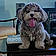 Samson