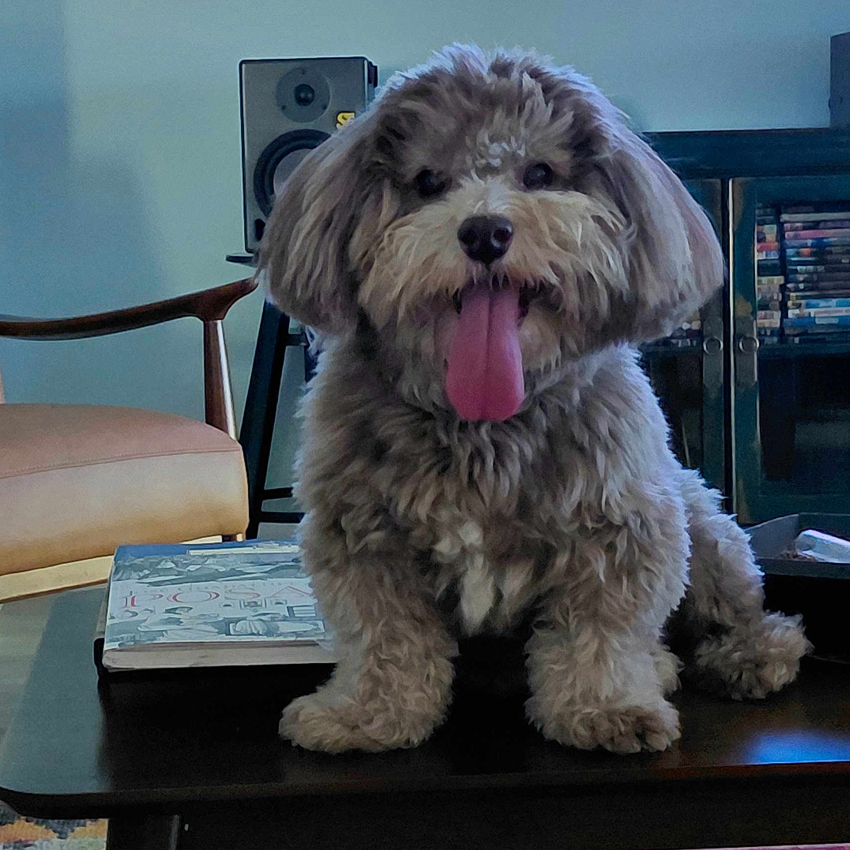 Samson