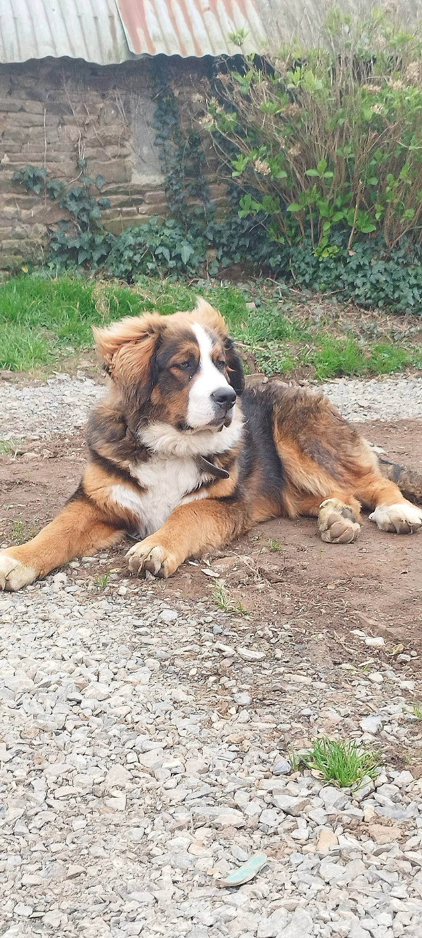 Athos