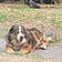 Athos