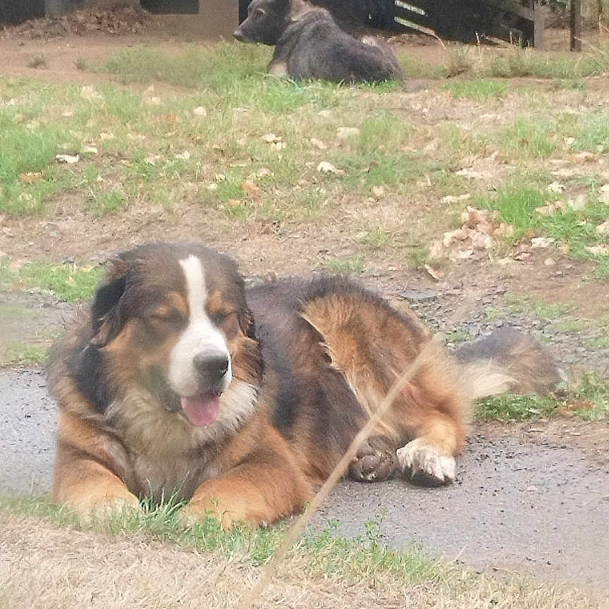 Athos