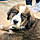 Athos