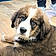 Athos