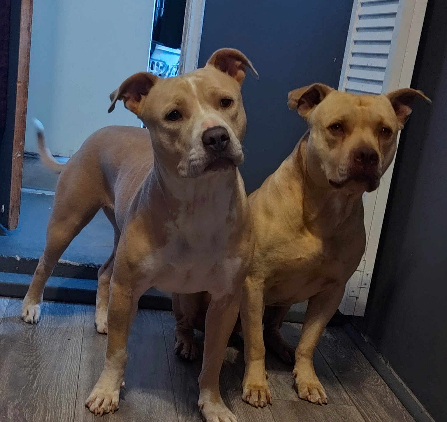 Lola And Babe