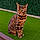 Oklay