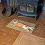 animal, cat, comfort, cozy_room, domestic_cat, feline, fireplace_tools, floor_mat, home_interior, indoor, orange_cat, pet, relaxed, resting, rug, stretched_out, tile_floor, warm, white_cat, wood_stove