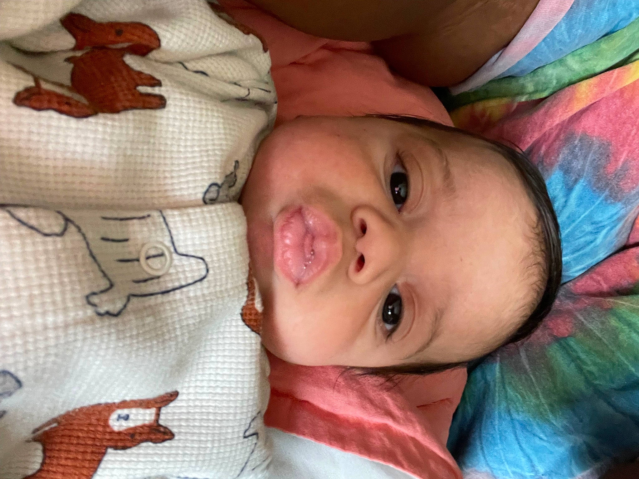 Tye joined the competition — help win amazing prizes! cheek, chin, eye, eyelash, face, forehead, head, human, human_body, lip, mammal, mouth, nose, person, product, skin, sleeve, smile, textile, vertebrate