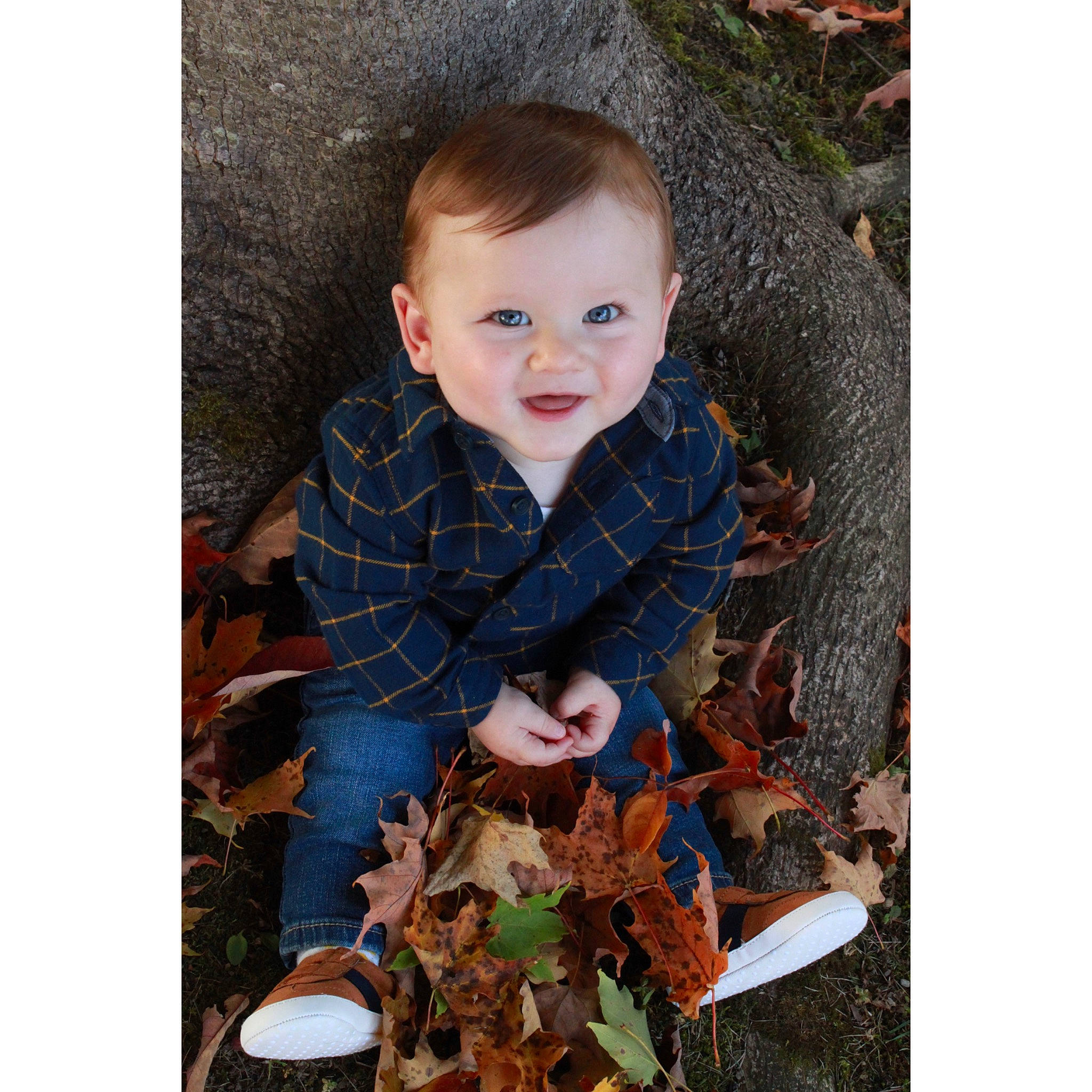 Corbyn joined the competition — help win amazing prizes! adaptation, autumn, baby, cheek, child, eye, face, head, iris, leaf, outerwear, people, person, photograph, photography, plant, play, portrait, smile, stock_photography