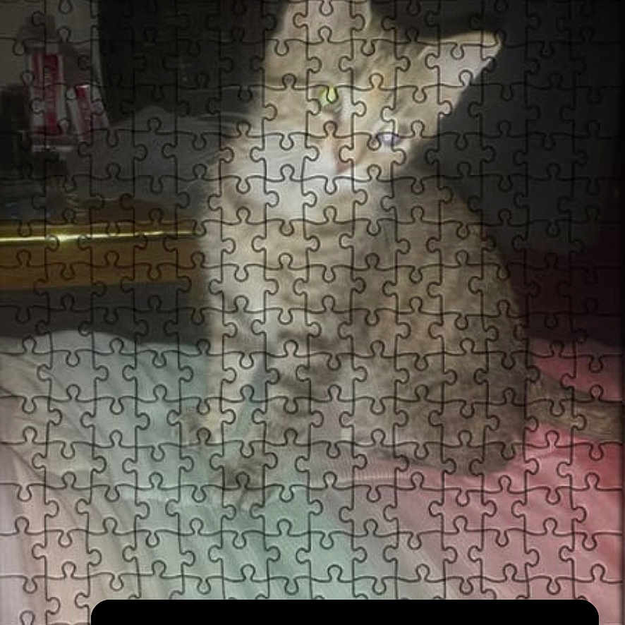 Molly is registered to the contest to win money with this photo: cat, animal, pet, white_cat, sitting, side_profile, puzzle, jigsaw, puzzle_filter, phone_screenshot, website, online_store, pet_store, indoor, furniture, dark_background, pink_surface, portrait, digital_image, navigation_bar