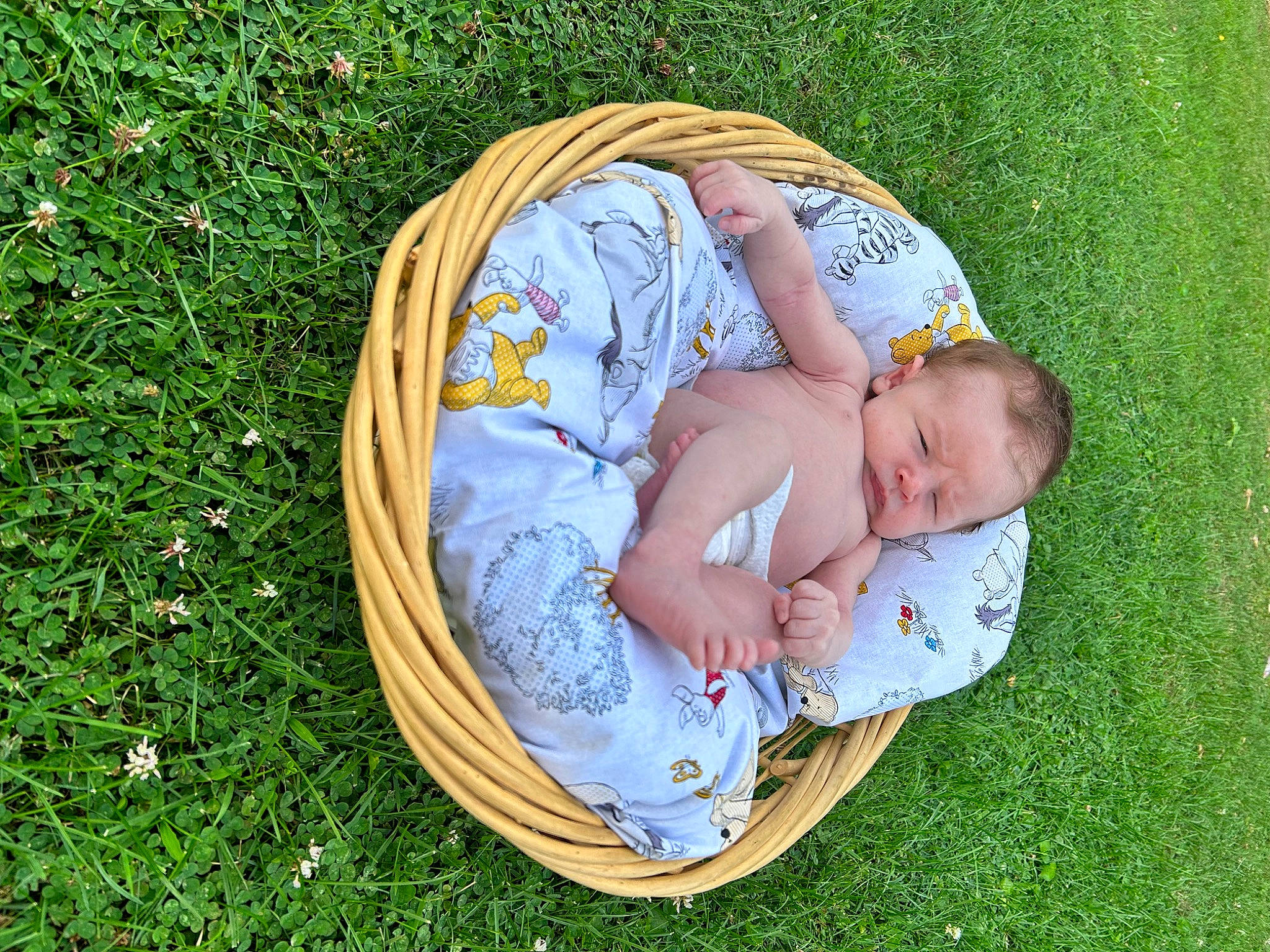 Jamison is registered to the contest to win money with this photo: arm, baby, baby_toddler_clothing, child, comfort, fun, grass, grass_family, grassland, hand, happy, human_body, lawn, leaf, leisure, meadow, people_in_nature, person, plant, recreation