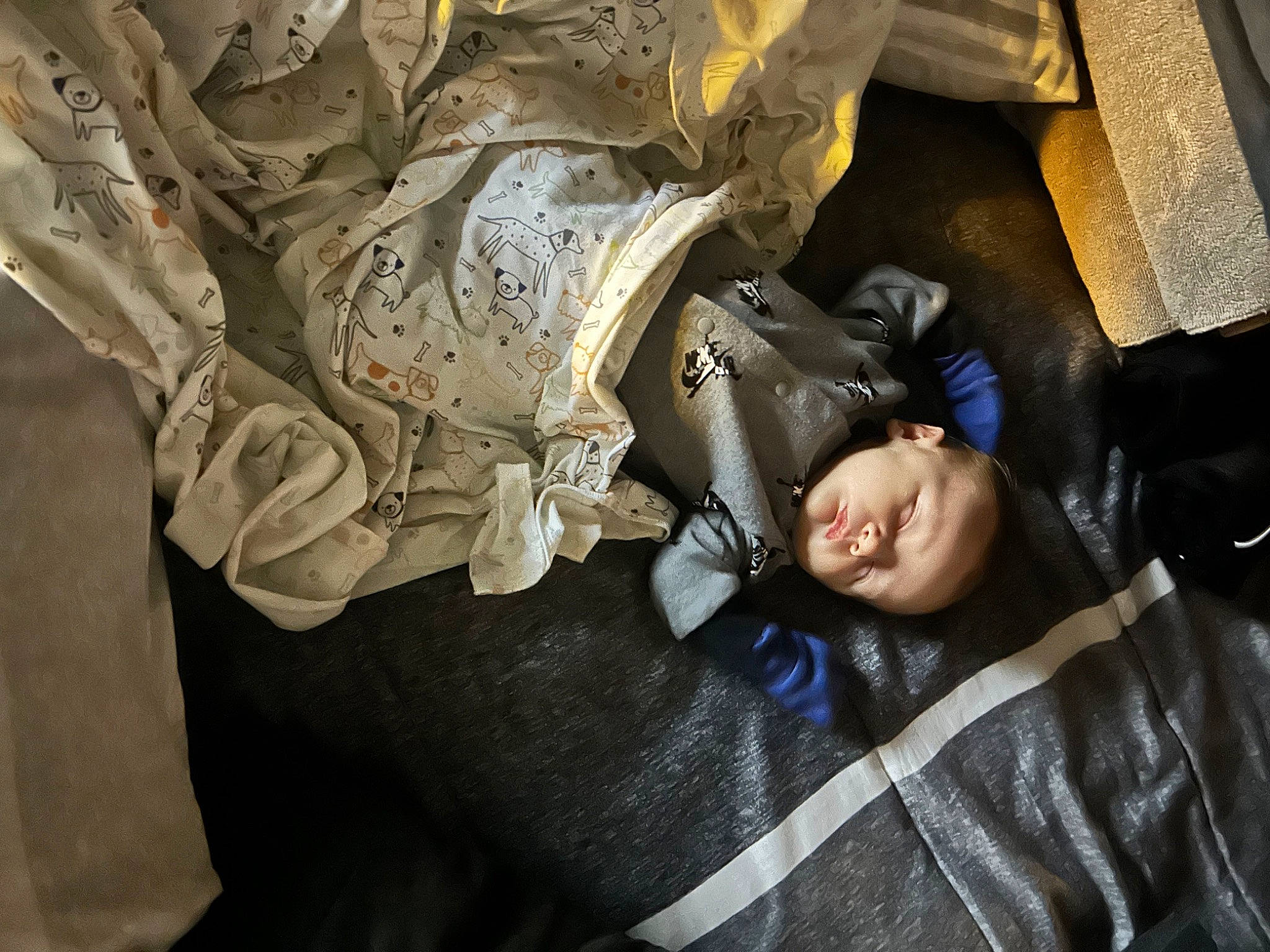 Jamison joined the competition — help win amazing prizes! auto_part, child, comfort, darkness, flash_photography, fun, linens, metal, pattern, person, personal_protective_equipment, room, sitting, textile, toddler, tree