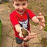 child, boy, frog, red_tshirt, batman, smile, outdoor, grass, stone_path, shoes, shorts, toy, playground, nature, happy, person, summer, daylight, hands, face