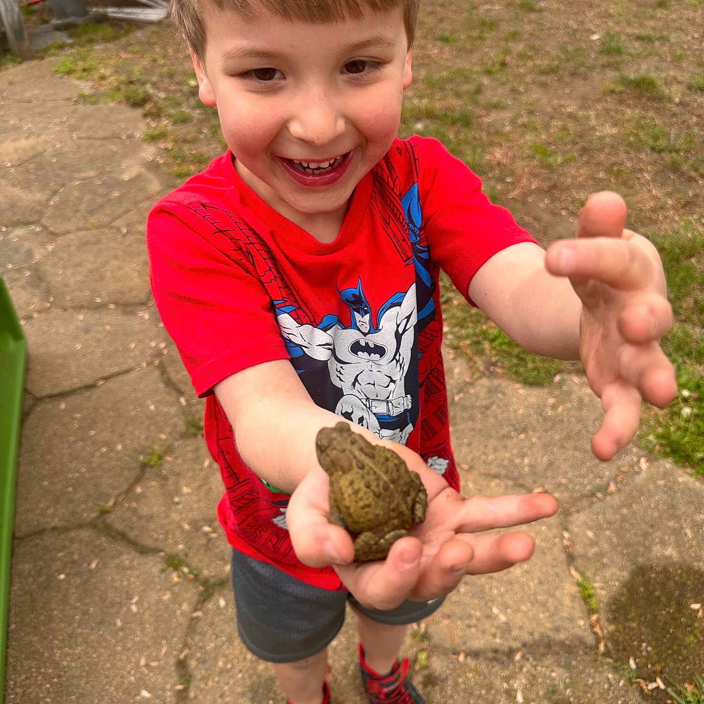 Jerrik is registered to the contest to win money with this photo: child, boy, frog, red_tshirt, batman, smile, outdoor, grass, stone_path, shoes, shorts, toy, playground, nature, happy, person, summer, daylight, hands, face