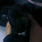 Jada is registered to the contest to win money with this photo:
