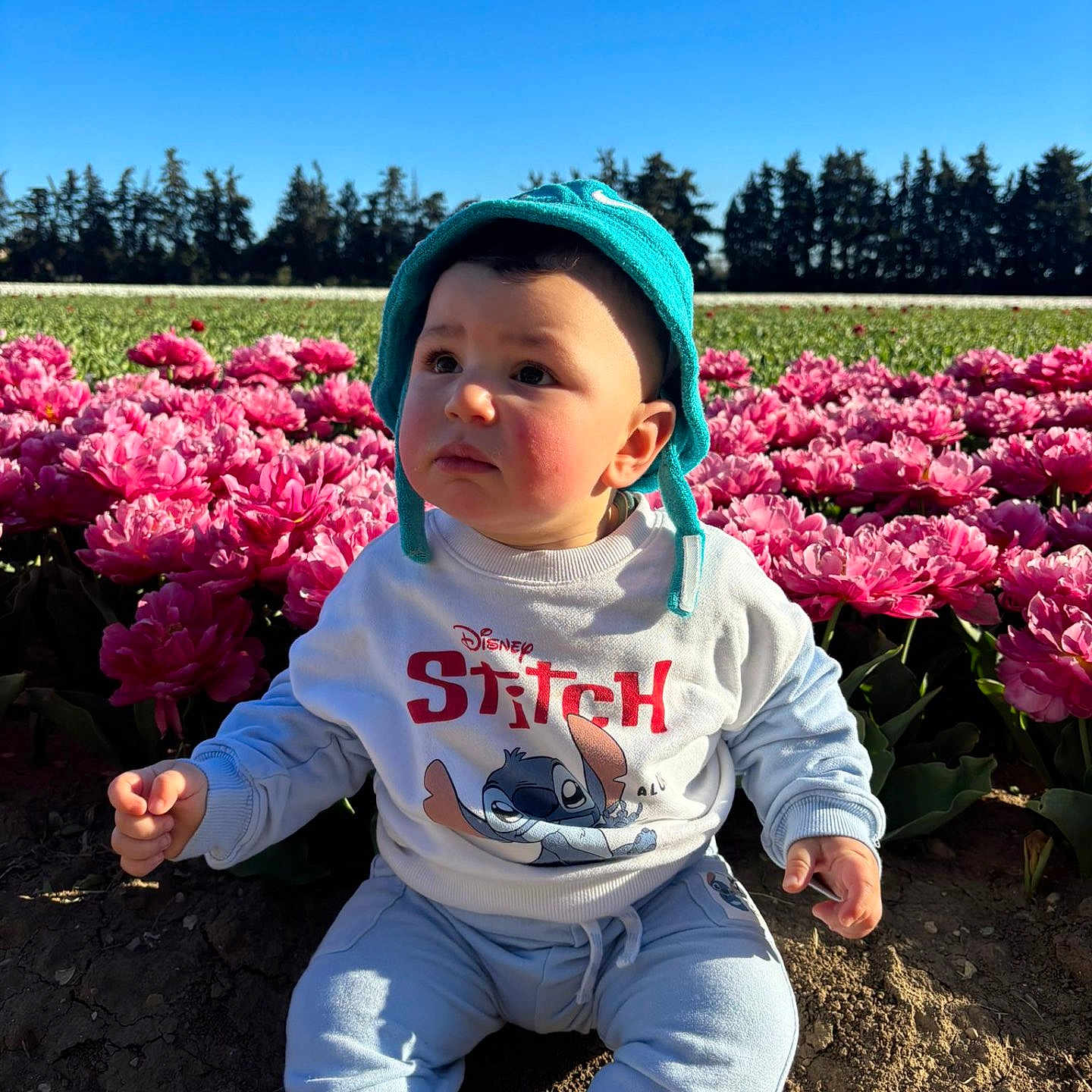 Sofiane a rejoint le concours — aidez-le/la à gagner de superbes lots ! baby, child, blue_hat, sweatshirt, disney, stitch, flowers, pink_flowers, field, outdoor, nature, greenery, sky, sunlight, young_child, sitting, cute, portrait, daylight, grass