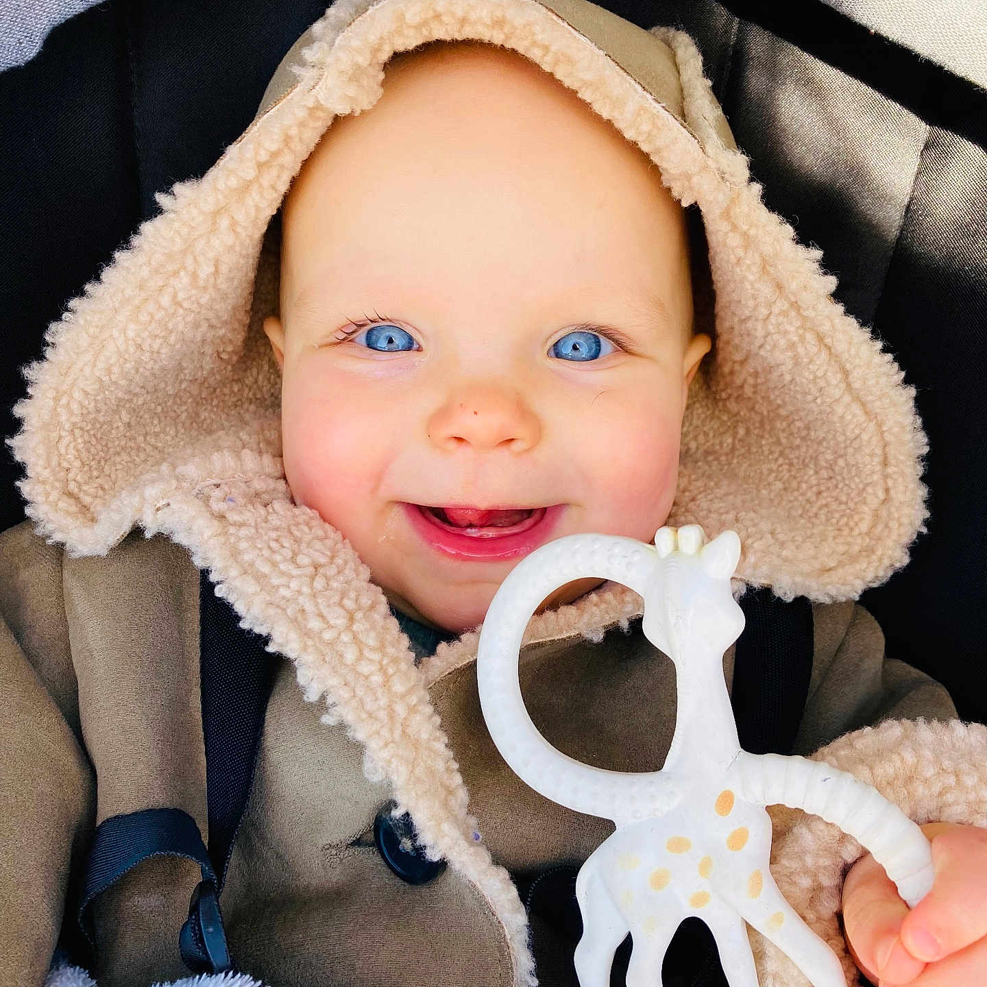 Maddy a rejoint le concours — aidez-le/la à gagner de superbes lots ! baby, child, blue_eyes, smile, hood, coat, fur_lined, teether, giraffe_toy, hand, blanket, infant, cute, face, portrait, warm_clothing, happy, indoors, close_up, person
