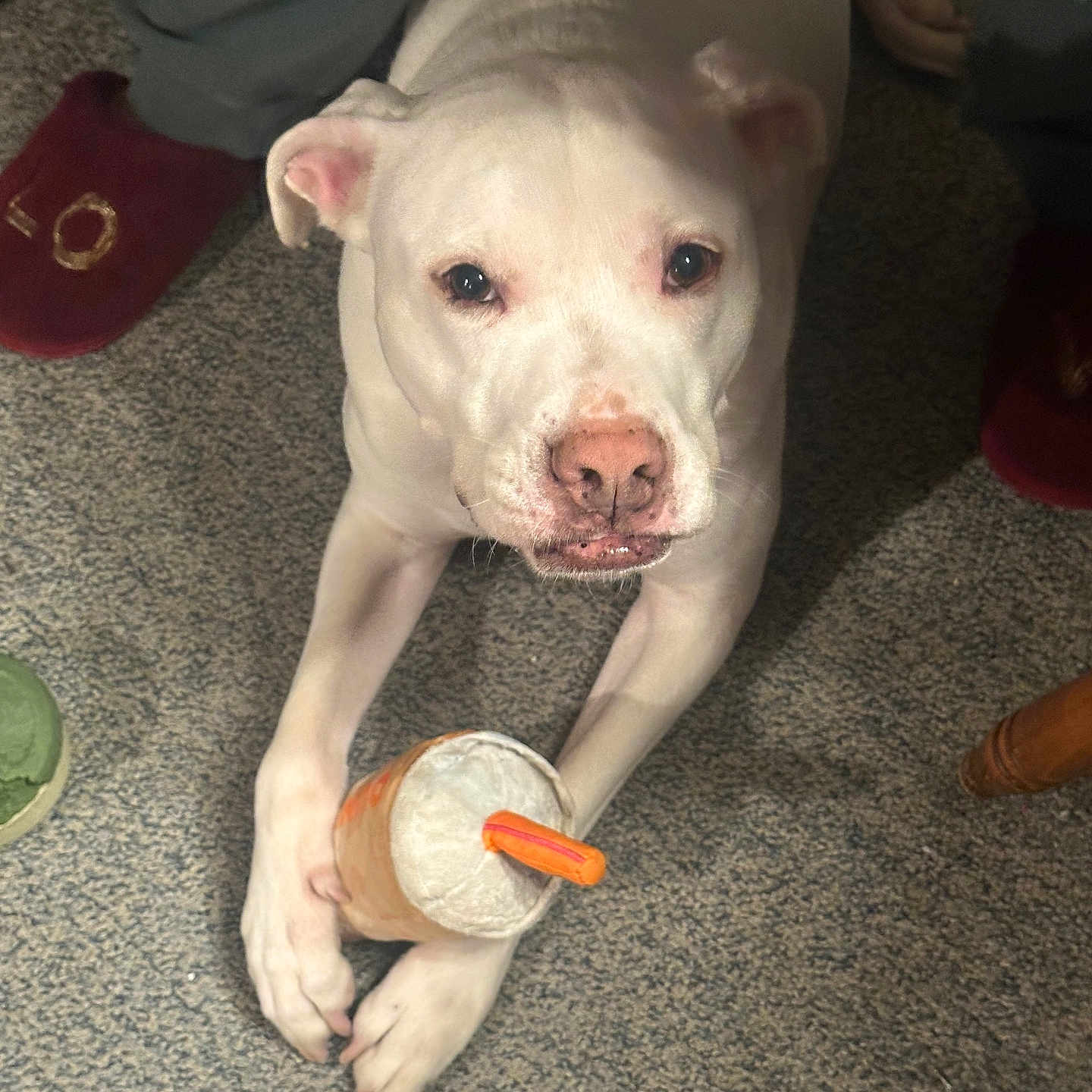 Oscar
