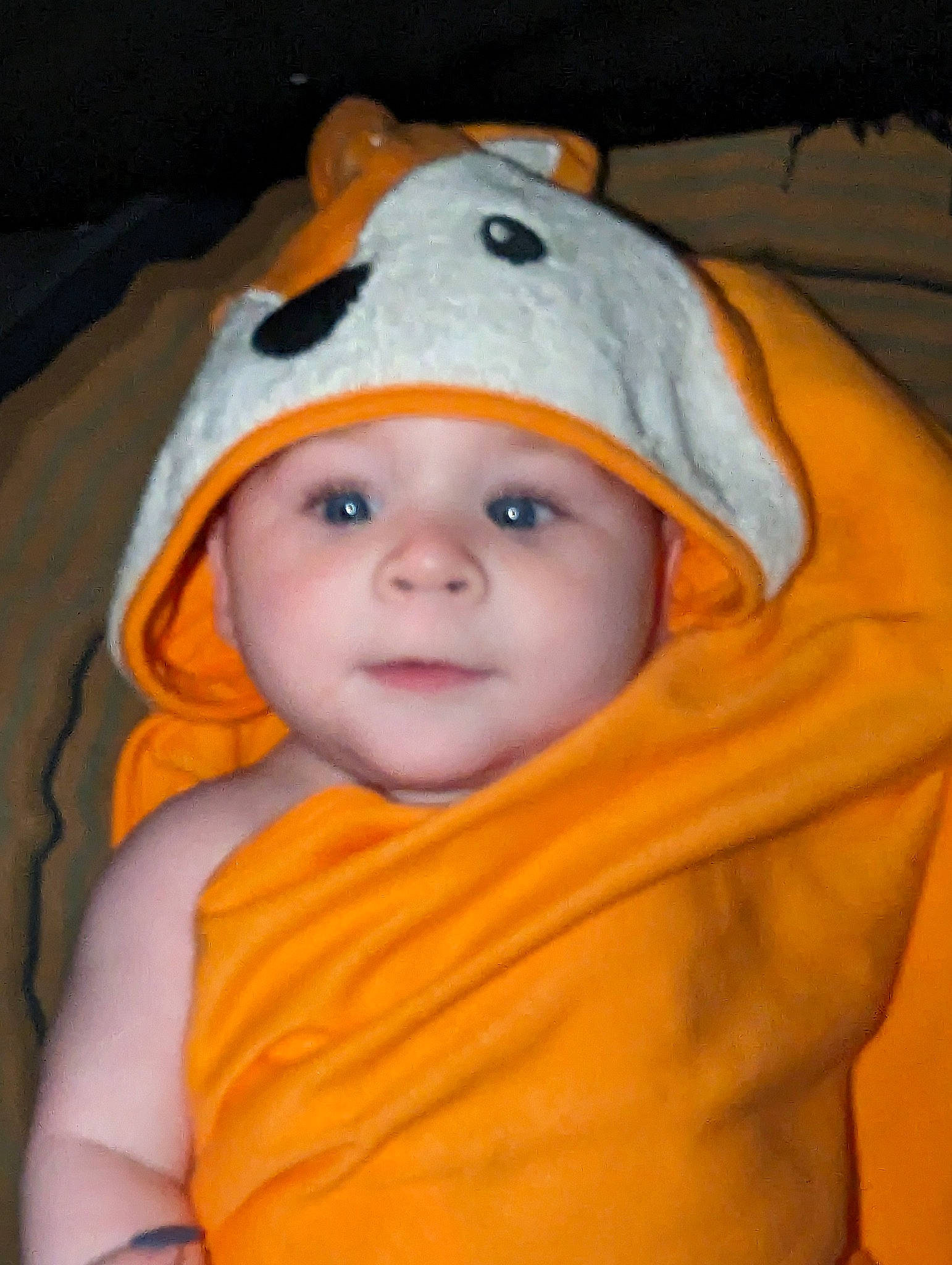 Chandler is registered to the contest to win money with this photo: baby, baby_products, baby_toddler_clothing, beanie, bonnet, cap, cheek, child, comfort, eyebrow, fashion_accessory, fun, happy, headwear, hoodie, iris, knit_cap, mouth, nose, orange