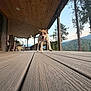 Ronin joined the competition — help win amazing prizes! dog, wooden_deck, porch, outdoor, forest, mountains, trees, sky, happy, animal, canine, nature, daylight, pet, smiling, running, wood, house, landscape, scenic