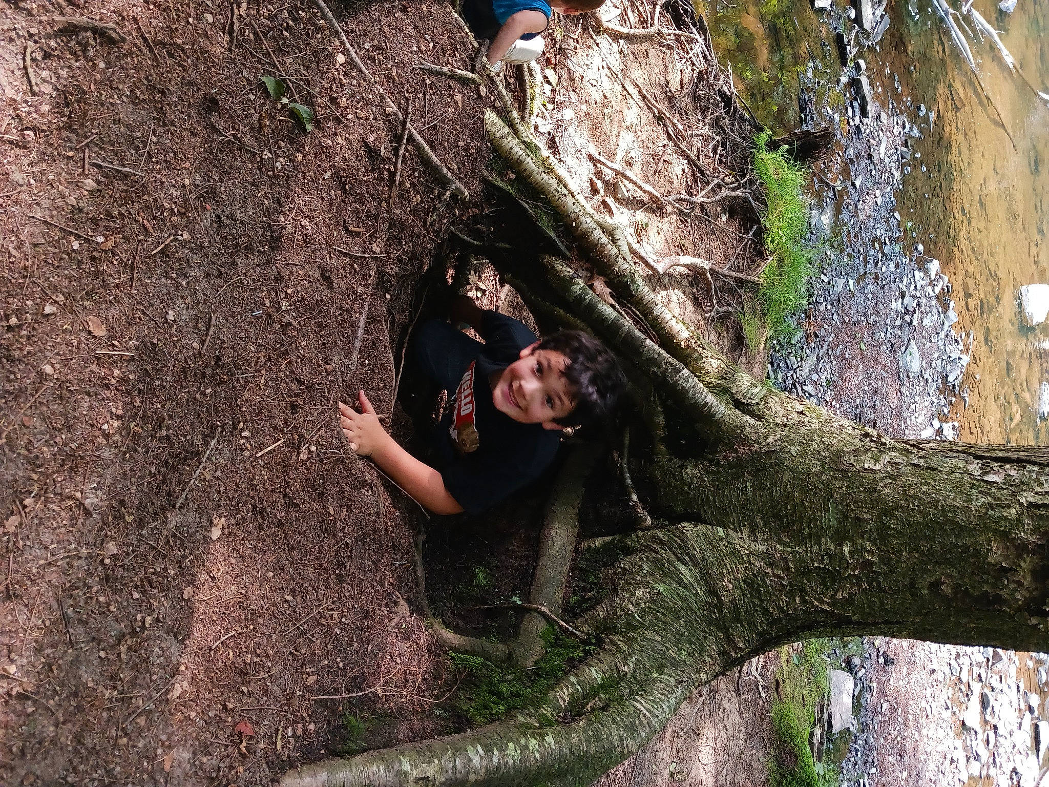 Charlie joined the competition — help win amazing prizes! bedrock, branch, forest, formation, fun, grass, joy, leaf, leisure, nature_reserve, organism, outcrop, people_in_nature, person, plant, recreation, rock, smile, tree, trunk