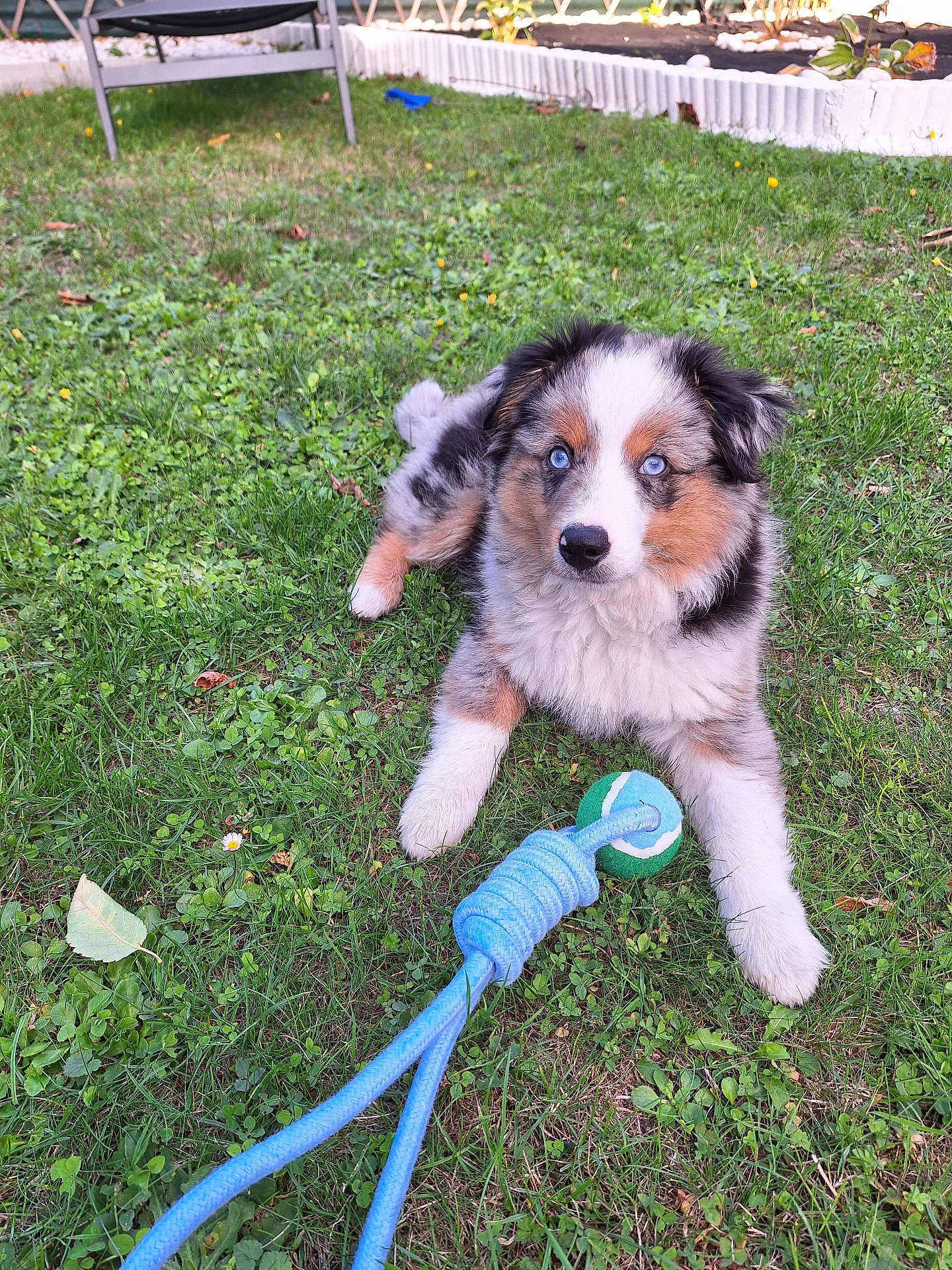 Aiko