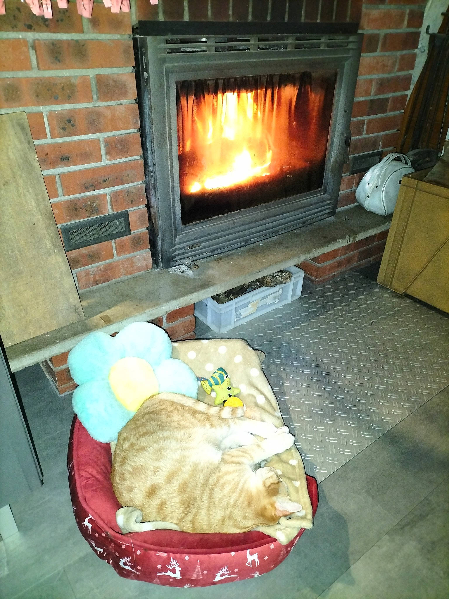 Trundle participe au concours pour gagner de l'argent avec cette photo : carnivore, comfort, companion_dog, couch, felidae, fireplace, floor, flooring, gas, hardwood, hearth, heat, living_room, masonry_oven, room, stove, stuffed_toy, toy, wood, wood_burning_stove