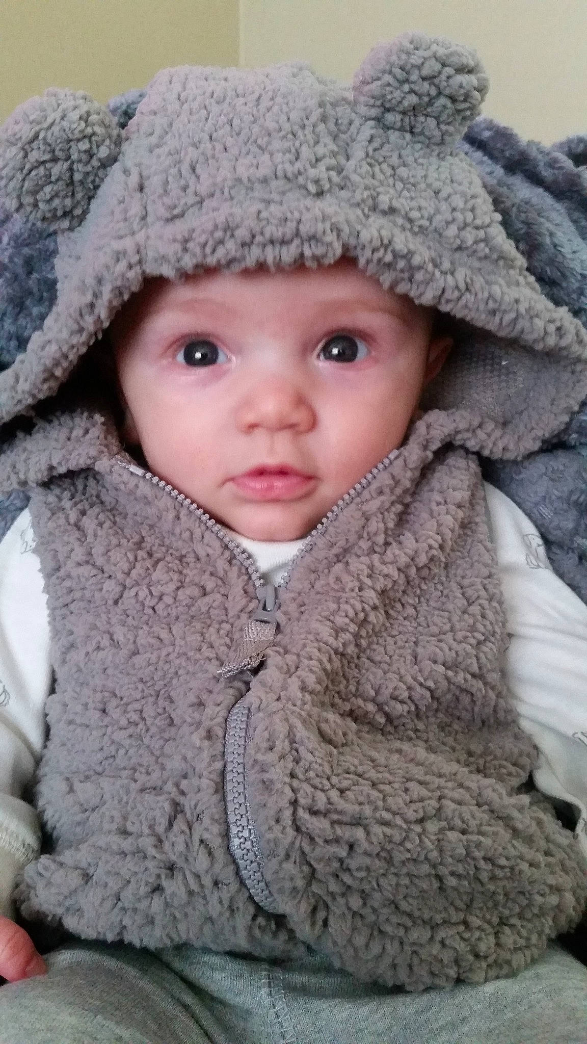 Rowan joined the competition — help win amazing prizes! baby, cheek, child, eye, face, fur, head, headgear, headwear, knit_cap, knitting, nose, outerwear, person, skin, smile, toddler, winter, wool, woolen