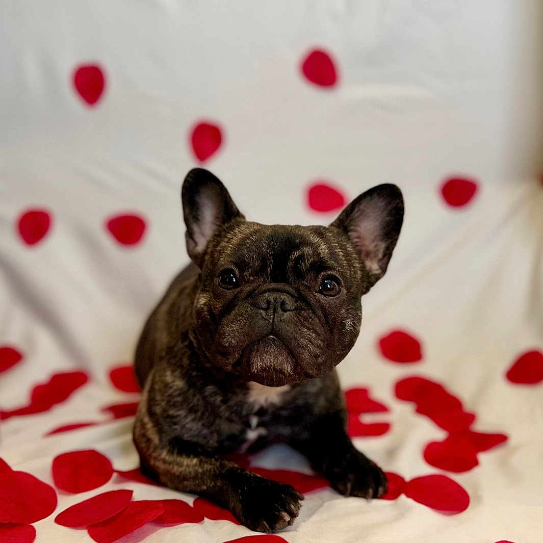 Stormi