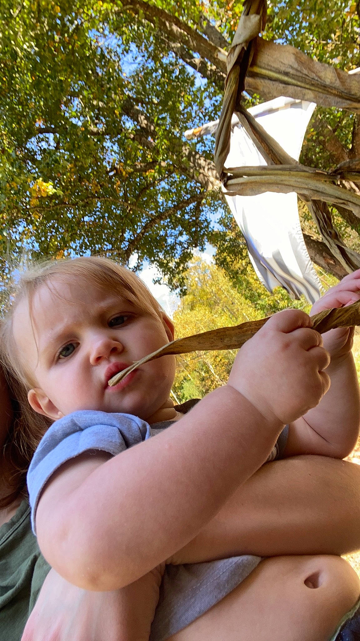 Haisley joined the competition — help win amazing prizes! child, finger, fun, gesture, grass, hand, happy, leaf, leisure, people_in_nature, person, play, portrait_photography, recreation, sitting, swing, thumb, toddler, tree, vacation