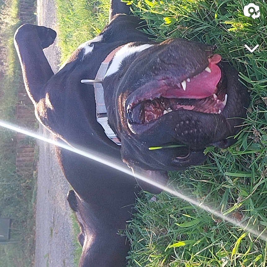 Pablo