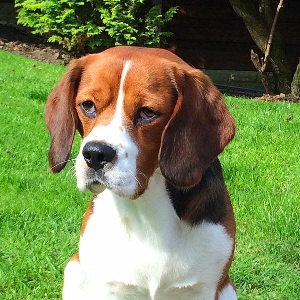 Wilf joined the competition — help win amazing prizes!