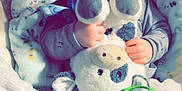 Phoenix joined the competition — help win amazing prizes! baby, sleeping, plush_toy, cow, blanket, pacifier, toy, infant, child, soft, comfort, cute, hand, face, peaceful, indoors, closeup, cozy, resting, soft_toys