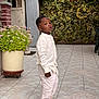 Noëlan participe au concours pour gagner de l'argent avec cette photo : child, boy, standing, outdoor, ivy_wall, potted_plant, tile_floor, curious_expression, casual_clothing, sneakers, greenery, garden, natural_light, portrait, young_child, white_shirt, pants, urban_garden, daylight, casual
