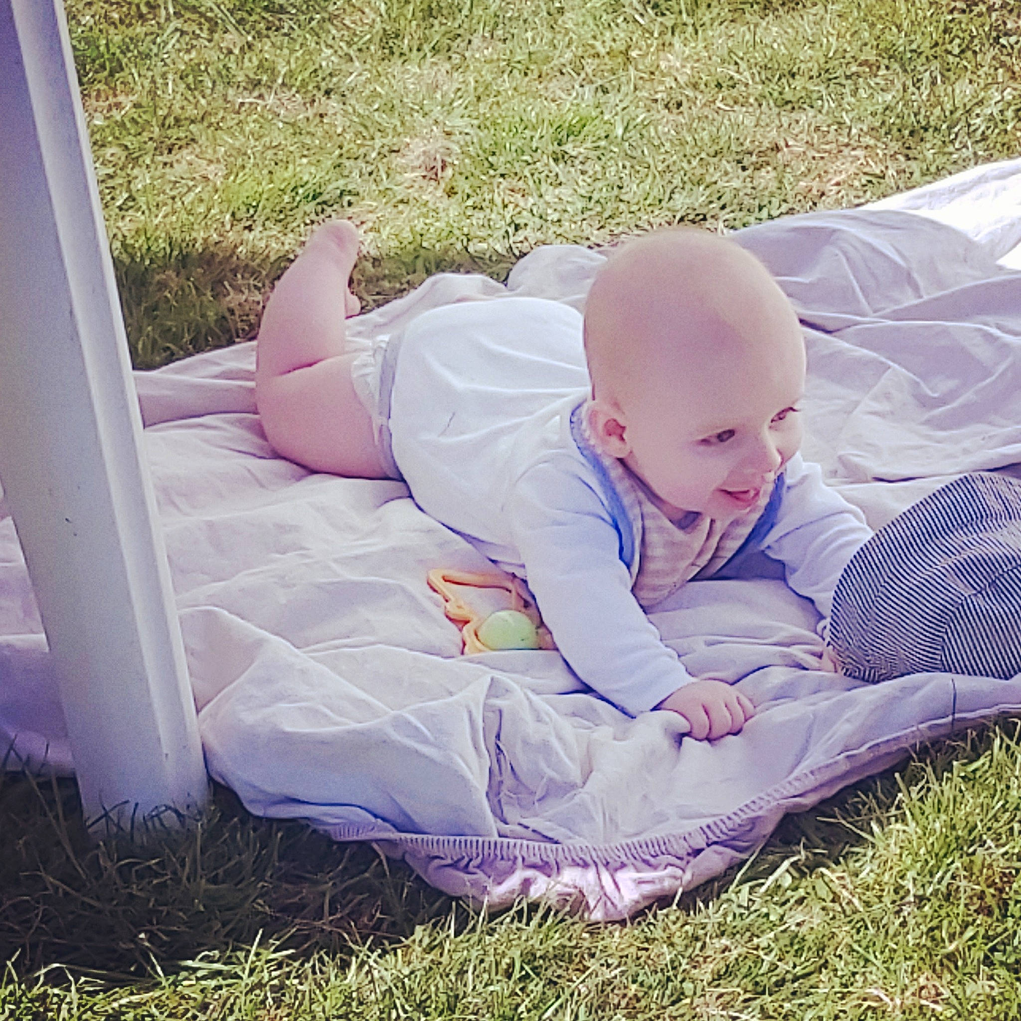 Tylio participe au concours pour gagner de l'argent avec cette photo : baby, baby_products, child, comfort, grass, lawn, morning, nap, person, pink, plant, play, product, sleep, summer, toddler