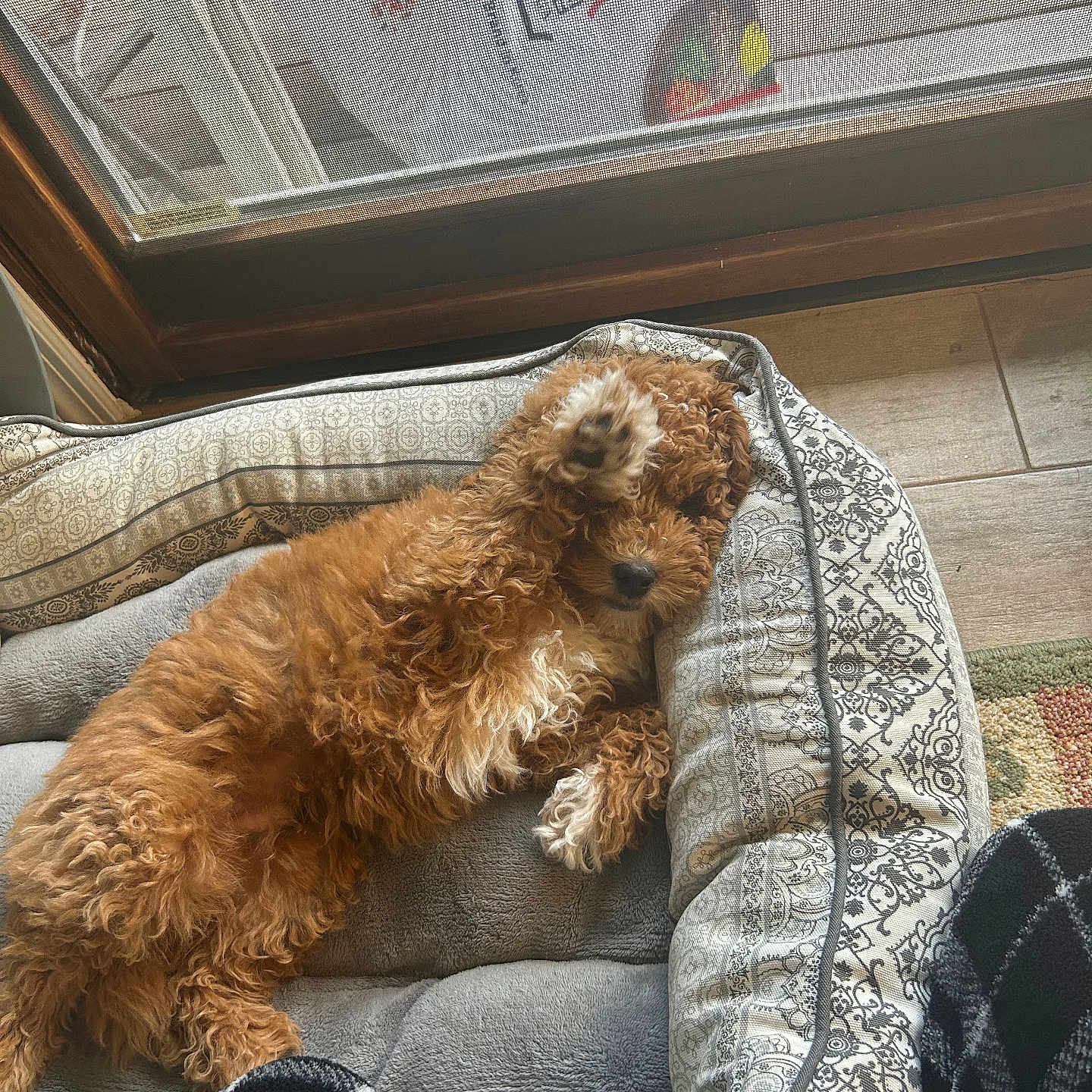 Milo