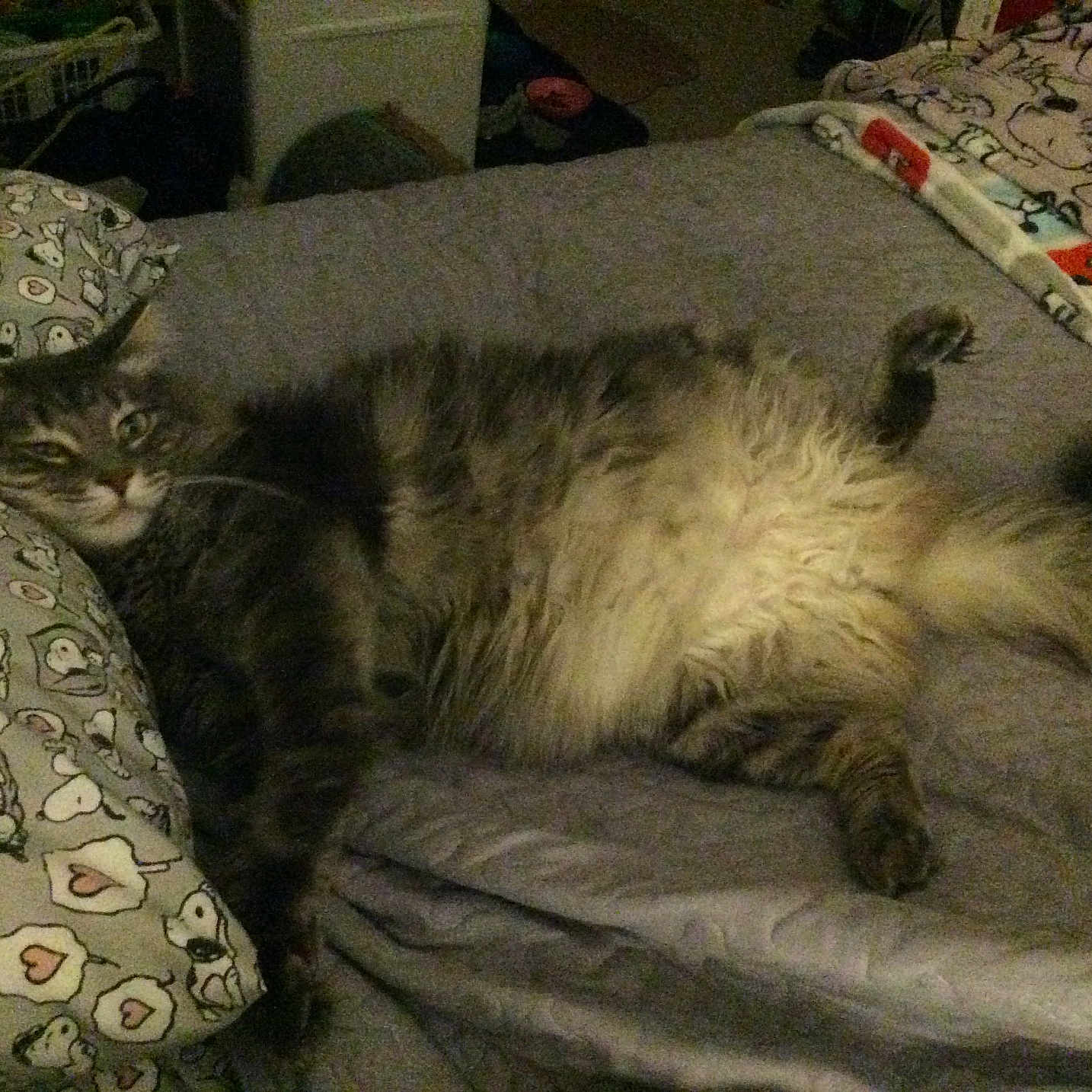Fluffy