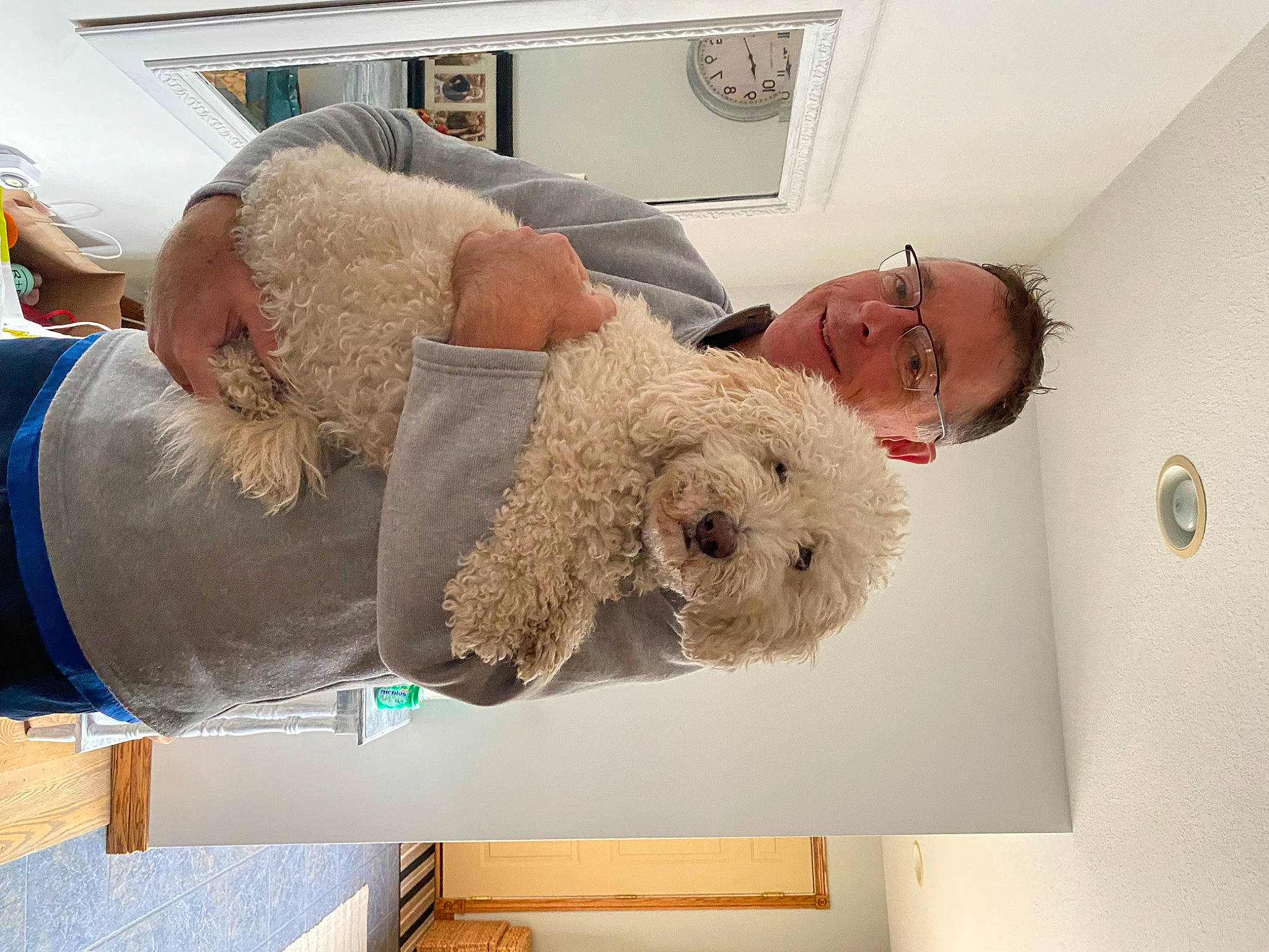 Juno is registered to the contest to win money with this photo: canidae, carnivore, comfort, companion_dog, dog, dog_breed, fur, labradoodle, mammal, non_sporting_group, picture_frame, poodle, poodle_crossbreed, room, sporting_group, standard_poodle, sunglasses, terrier, toy_dog, water_dog