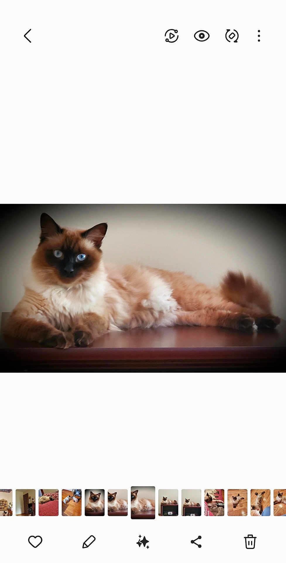 Koko