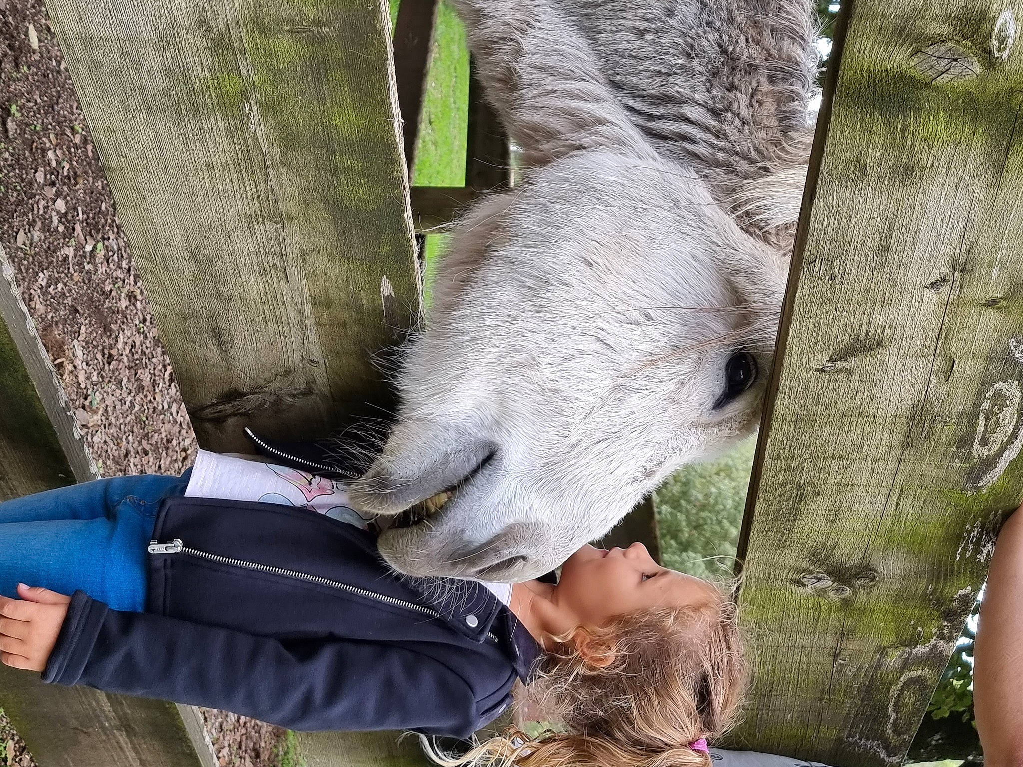 Shana a rejoint le concours — aidez-le/la à gagner de superbes lots ! comfort, fur, grass, leisure, person, sitting, tail, terrestrial_animal, wood