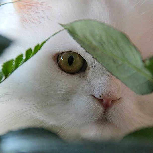 Charlie joined the competition — help win amazing prizes!