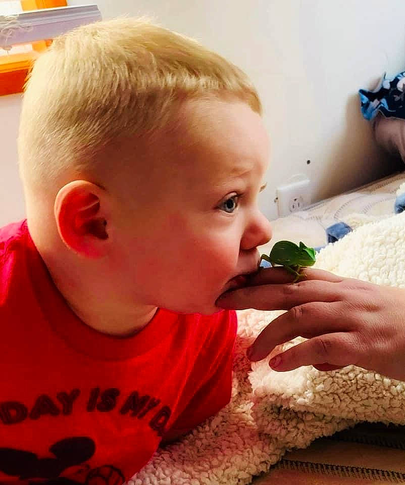 Kaden joined the competition — help win amazing prizes! baby, cheek, child, finger, food_craving, fruit, gesture, hairstyle, happy, lip, mouth, nail, natural_foods, neck, nose, person, plant, skin, superfood, thumb