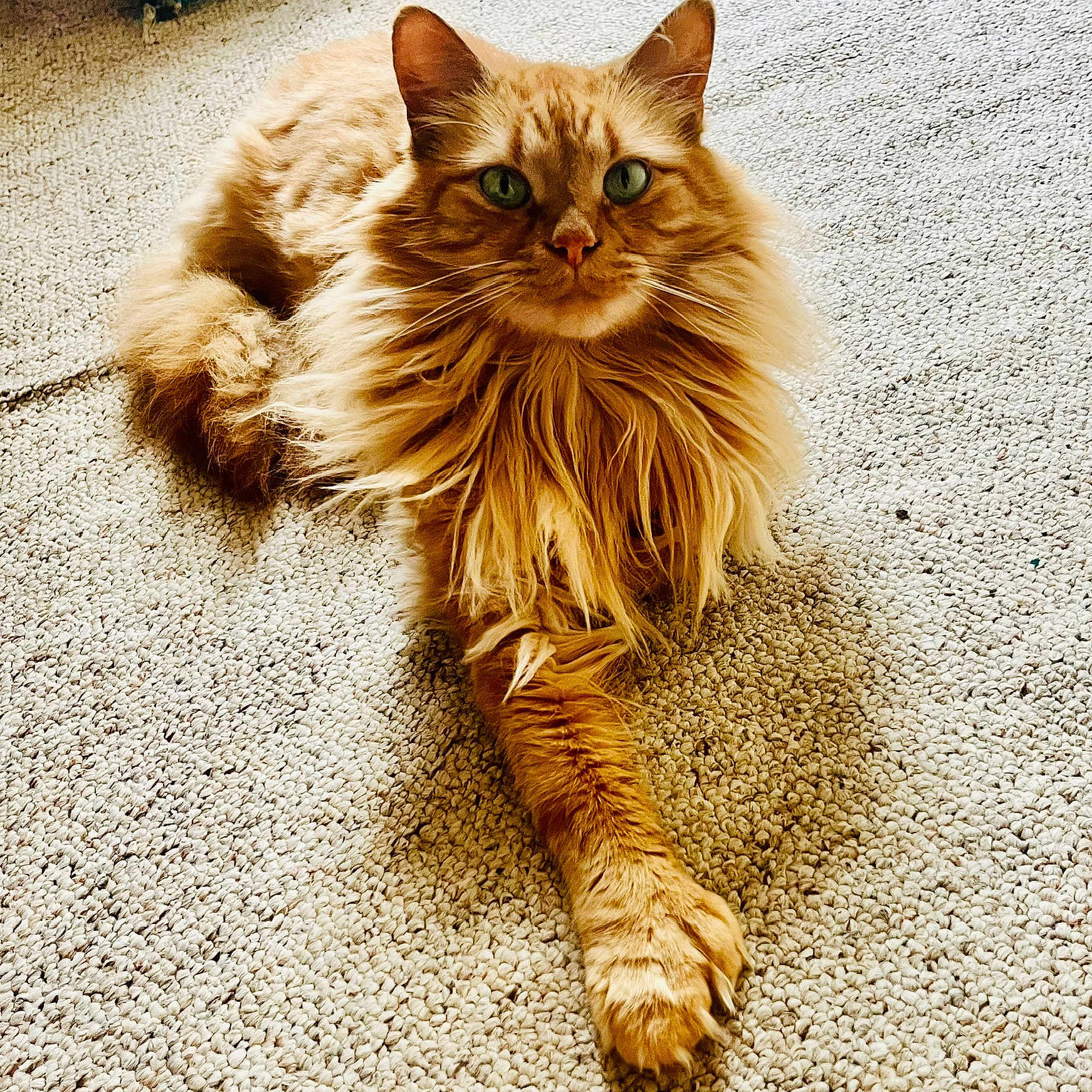 Eugene