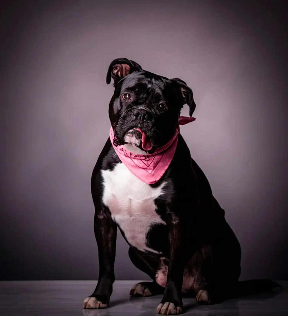 Maggie Mae