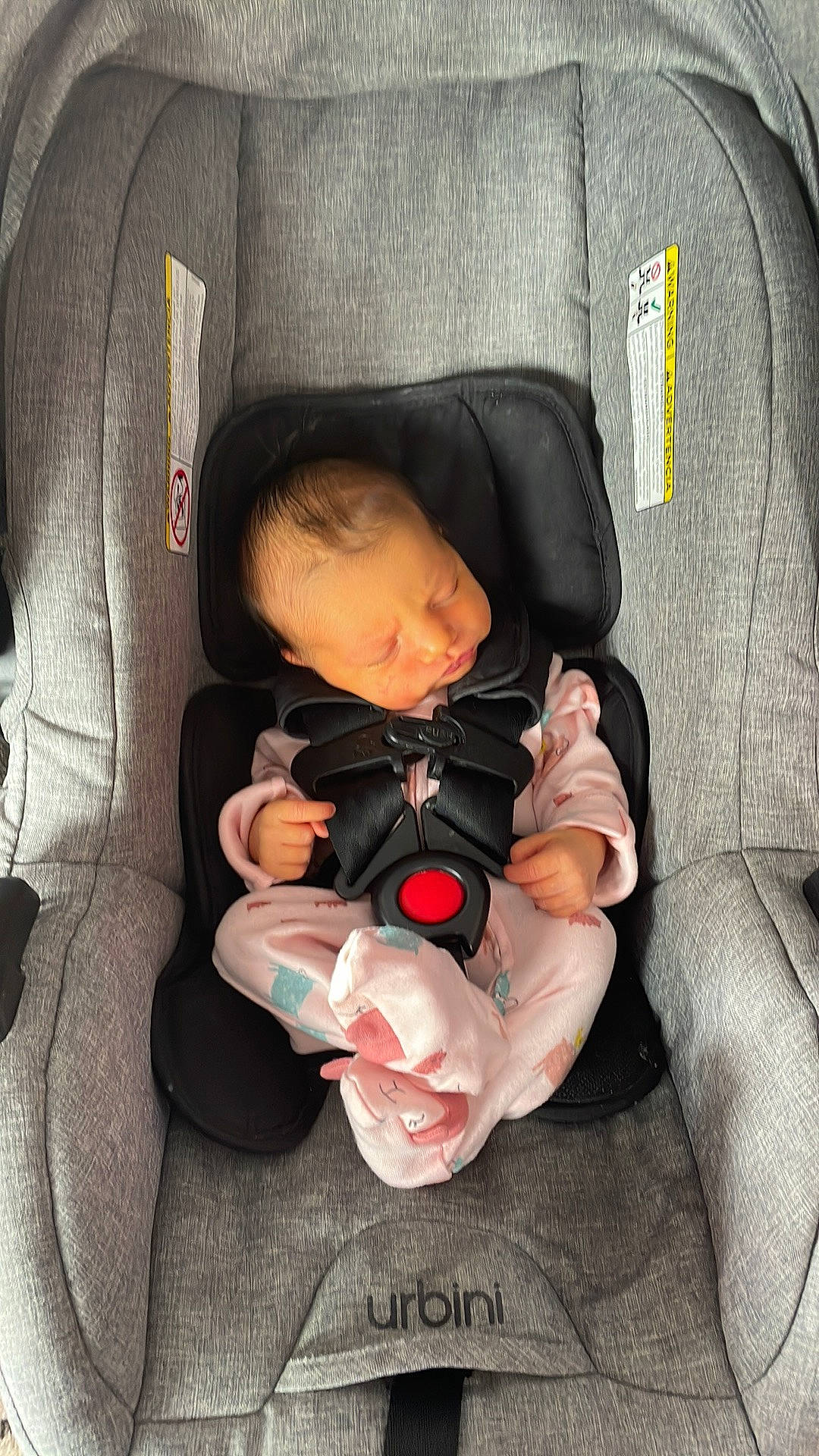 Silvia is registered to the contest to win money with this photo: auto_part, baby, baby_carriage, baby_in_car_seat, baby_products, baby_toddler_clothing, car_seat, car_seat_cover, carmine, cheek, child, comfort, head, lap, nap, person, product, seat_belt, sitting, thumb