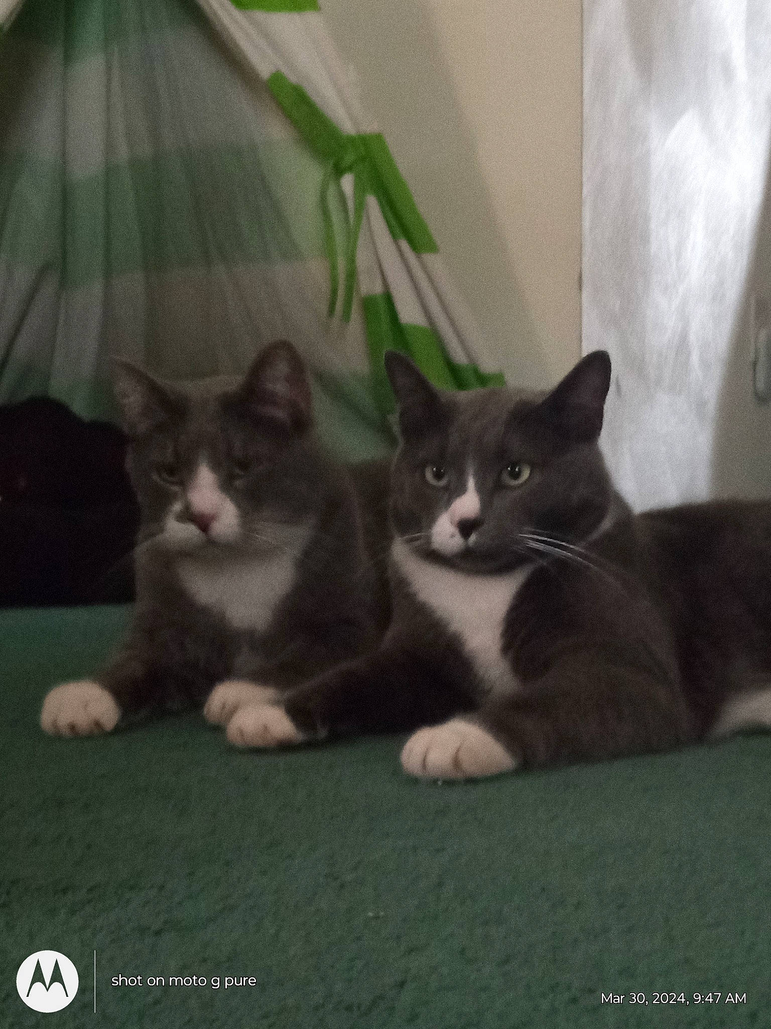 Franky N Jessy James