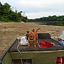 dog, boat, riverbank, sand, rope, red_cloth, bag, shells, water, trees, forest, sky, clouds, pet, animal, outdoor, nature, tongue_out, tail, happy
