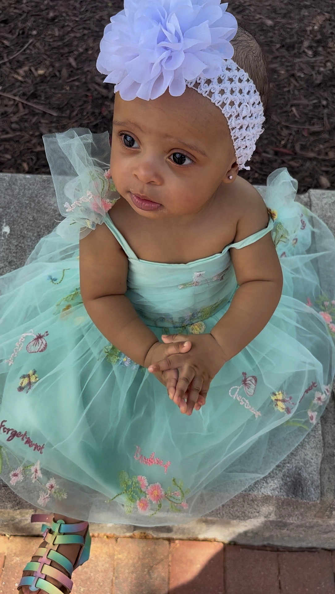 Milani is registered to the contest to win money with this photo: toddler, child, dress, headband, flower, outdoor, sandals, hands, embroidery, stone, pavement, skin, face, eyes, sitting, cute, fashion, summer, nature, portrait