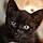 Binx