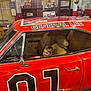 child, car, general_lee, orange, vintage, garage, classic_car, smiling, indoor, seat, window, sign, automobile, retro, toy, head, happy, vehicle, number_01, interior