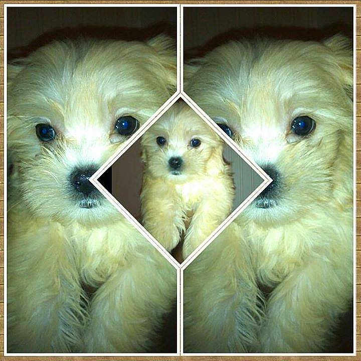 Peechez joined the competition — help win amazing prizes!